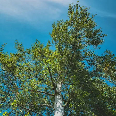 Mlynicka Zahrada 4* Červená Voda